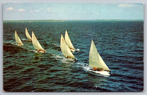 Racing off marblehead - racing,
